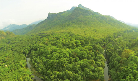 Silent Valley National Park